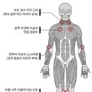 대전섬유 이미지