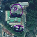 덕상로 | 6살 7살도 초집중 사상도서관 아이싱 쿠키 만들기 체험후기