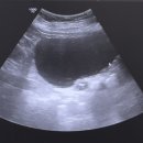 안산방사선과의원 이미지