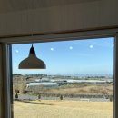 프로퍼밀도 이미지