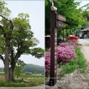 일락사입구 주차장 이미지