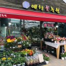 자이꽃농원