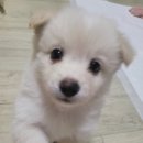 더오타임 이미지