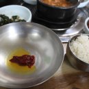 별빛콩