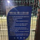 먹골구장 네이버블로그