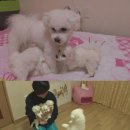 김명석농장 TV리포트