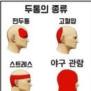 자미 이미지