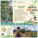 주니어7태권도 | 제주도 축제 2025 제 29회 한라산 청정 고사리축제 제주 고사리 채취하멍 즐기멍