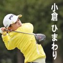 히마와리 이미지