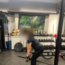 뉴욕피티 이미지