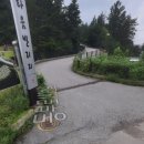 팻 빌리지 이미지