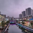 용인대 국가대표 해들 태권도 | [바야흐로 라베니체의 계절]김포한강신도시 선택 이유_ 장기도서관(feat. 우리동네 작가이야기)