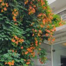 명덕네거리(명덕역 3번출구 앞) 이미지