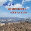 백두대간을 가다. 닭목령에서 고루포기산, 대관령까지