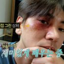 코쿤스토리 이미지