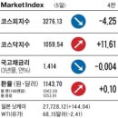 세아태양광발전소 이미지