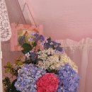 엄마의별장