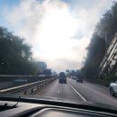 내방리 | 안성제초작업 대덕면 내방리 나대지 아카시아죽이기 벌목 후 제초제처리까지