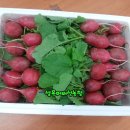 심암농장 이미지