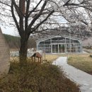 쌍림농장 이미지