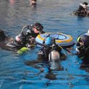 서산초등학교 이미지