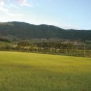 양구해안선사유적 이미지