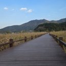 갈대정원 이미지