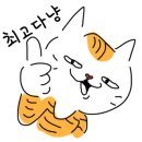 항아리묵은지 김치찌개 이미지