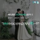 [부산어반퍼플/클레어드룬] 부산예신 웨딩 촬영 후기 AtoZ (TMI)