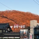 들향기식당 | 시흥 한식 맛집 : 들향기들밥 메뉴추천 서울근교 간장게장맛집 (물왕호수식당)