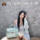 더크리에이티브민트카드 | 카디널레드 베니티백 리미티드 파스텔 민트 가방 추천 코디 후기