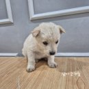 옥천동물병원 이미지