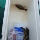 피쉬캠프낚시