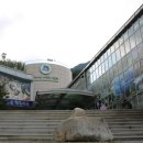 정견대 | 2020년 8월 15일 가야산 야생화 식물원, 정견대 &#34; Seong Ju on 15th August 2020&#34;