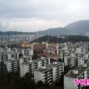 복음학문외과 네이버블로그