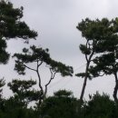 금마3농장 이미지