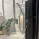 부천 신중동 프리미엄 네일 샵 추천 루아즈 네일