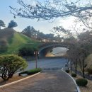 대가야소고기국밥 이미지