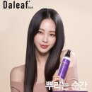 역시오늘도헤어