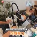 생장수 | 더채우다 제주탈모관리 20대 탈모 초기에 잡기!