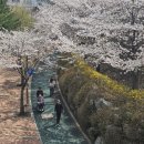 풍동공원 이미지