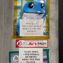 337치킨 | 김해 연지공원 맛집 남포통닭 닭목살구이 양념치킨 후기