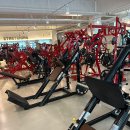 홍키통키 이미지