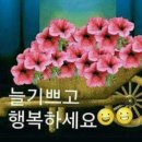 소리난청보청기센터 이미지