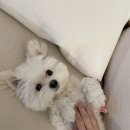 지에스 세자로점 | 11월 넷째주 일기