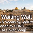 The Wailing Wall 이미지