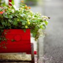 서남몬테소리어린이집 이미지