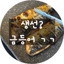 [대구 들안길 맛집] 금등어 본점 - 고등어구이는 여기! 재재재재재방문 후기