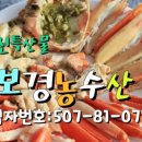 보경버섯