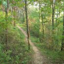 제천동중학교 이미지